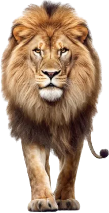 lion image